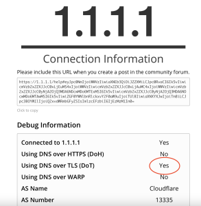 VPN DNS
