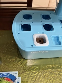 Sainlogic Hydroponic