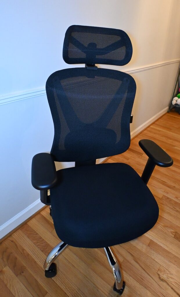 Holludle Ergonomic Office Chair